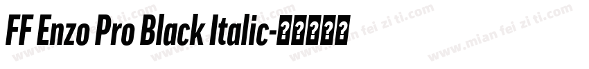 FF Enzo Pro Black Italic字体转换